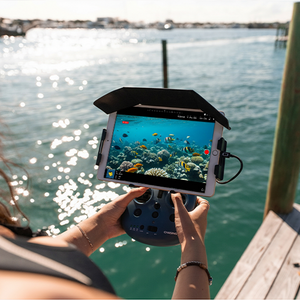 Real-Time Transmission